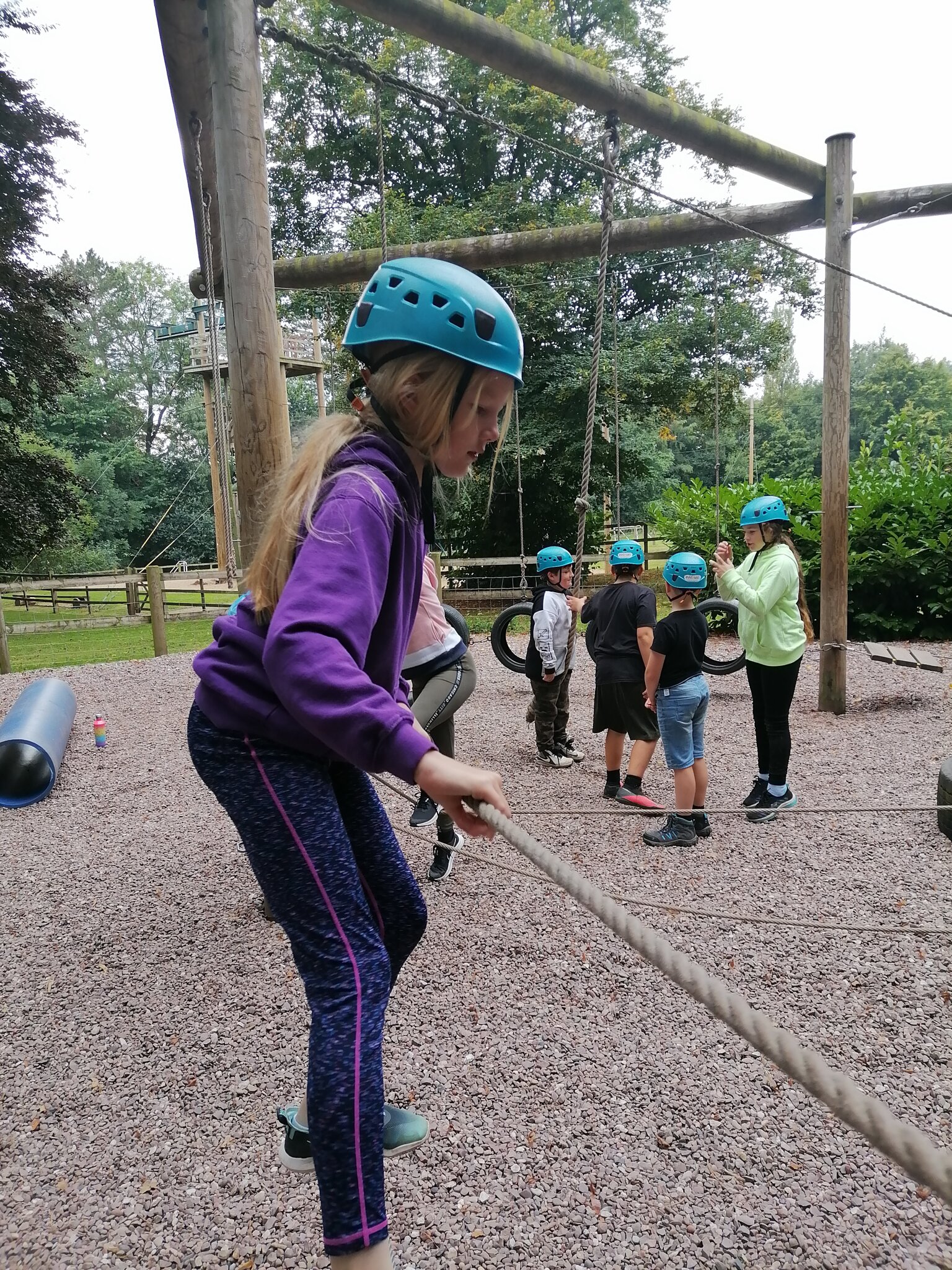 Image of Low Ropes 