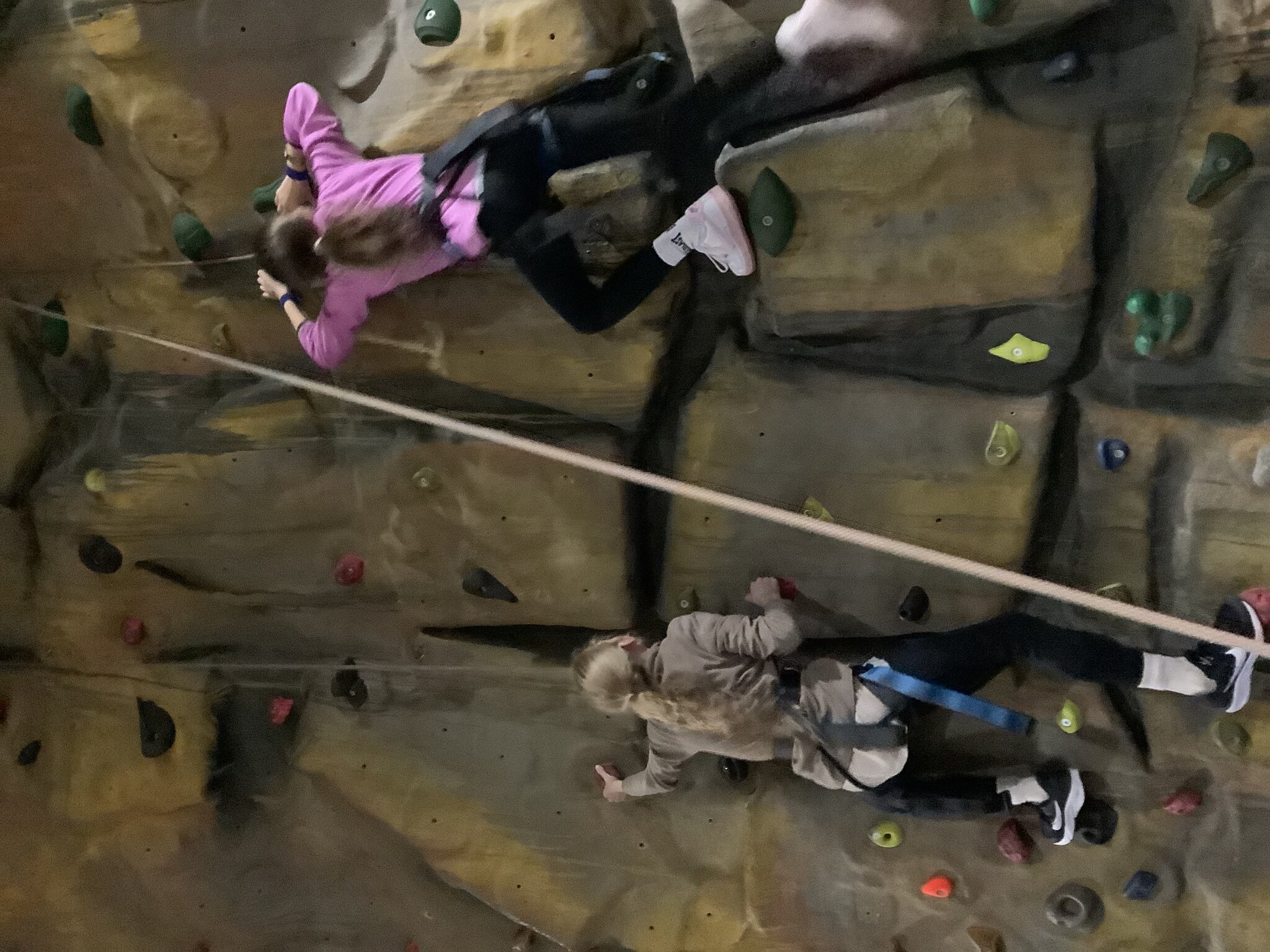 Image of Enjoying the climbing wall today…..