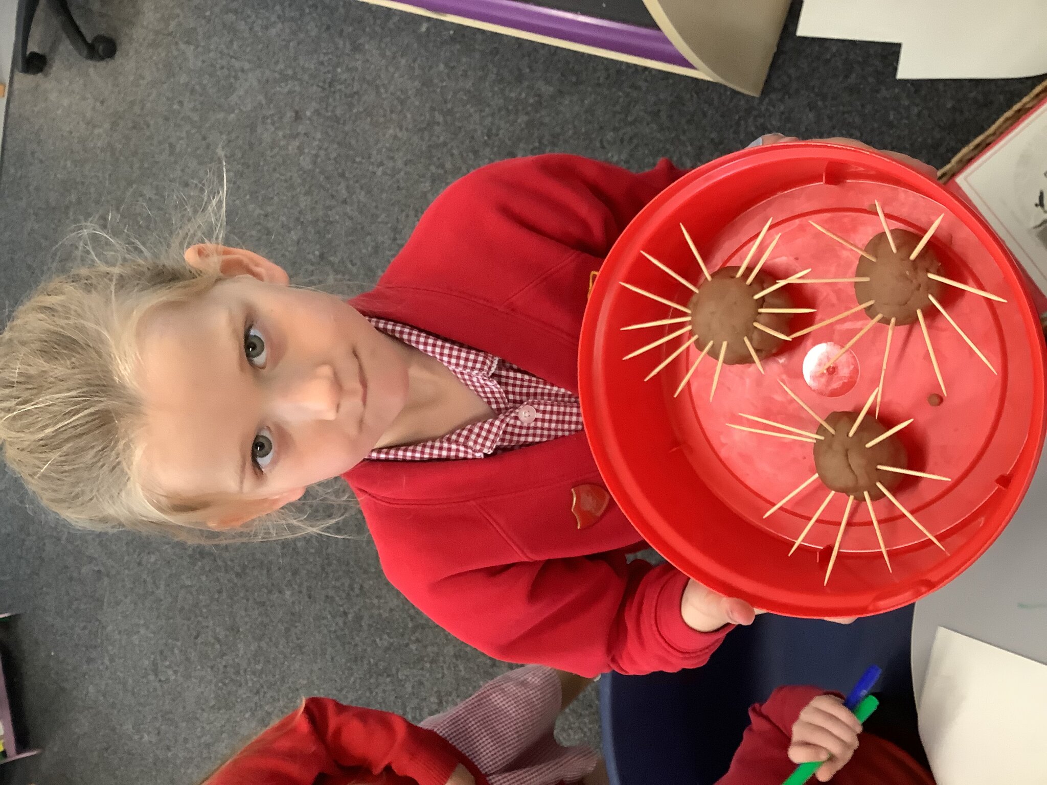 Image of Creating hedgehogs with play dough and equipment!