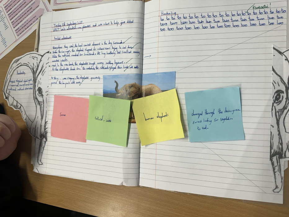 Image of Amazing Noun Phrase Sentences