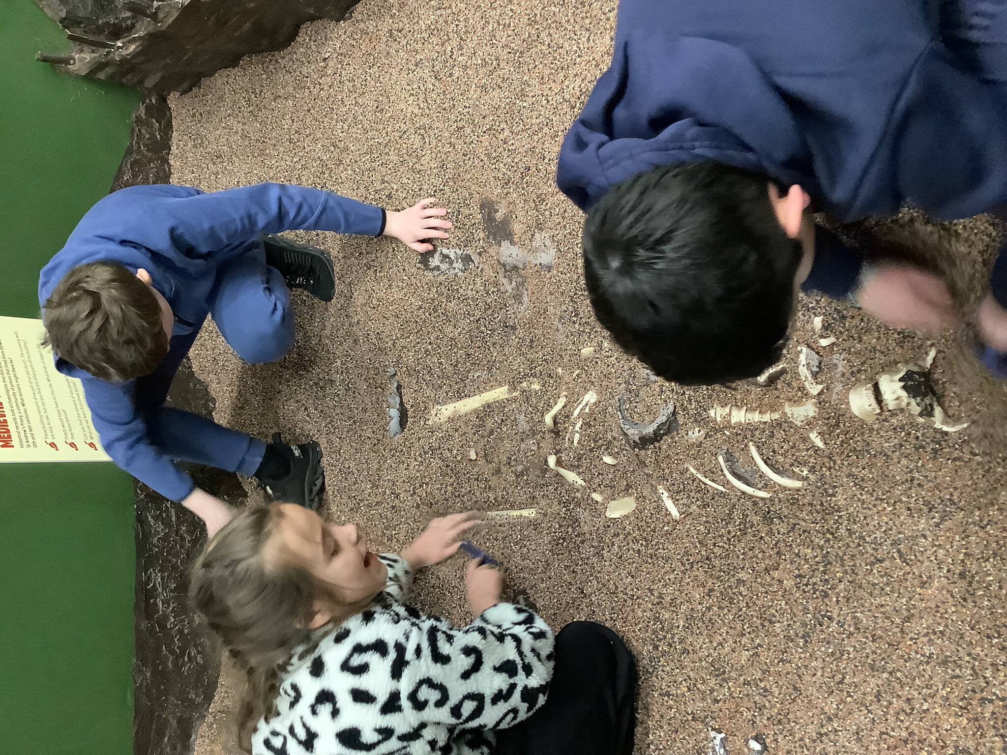 Image of Fun at the Jorvik Dig