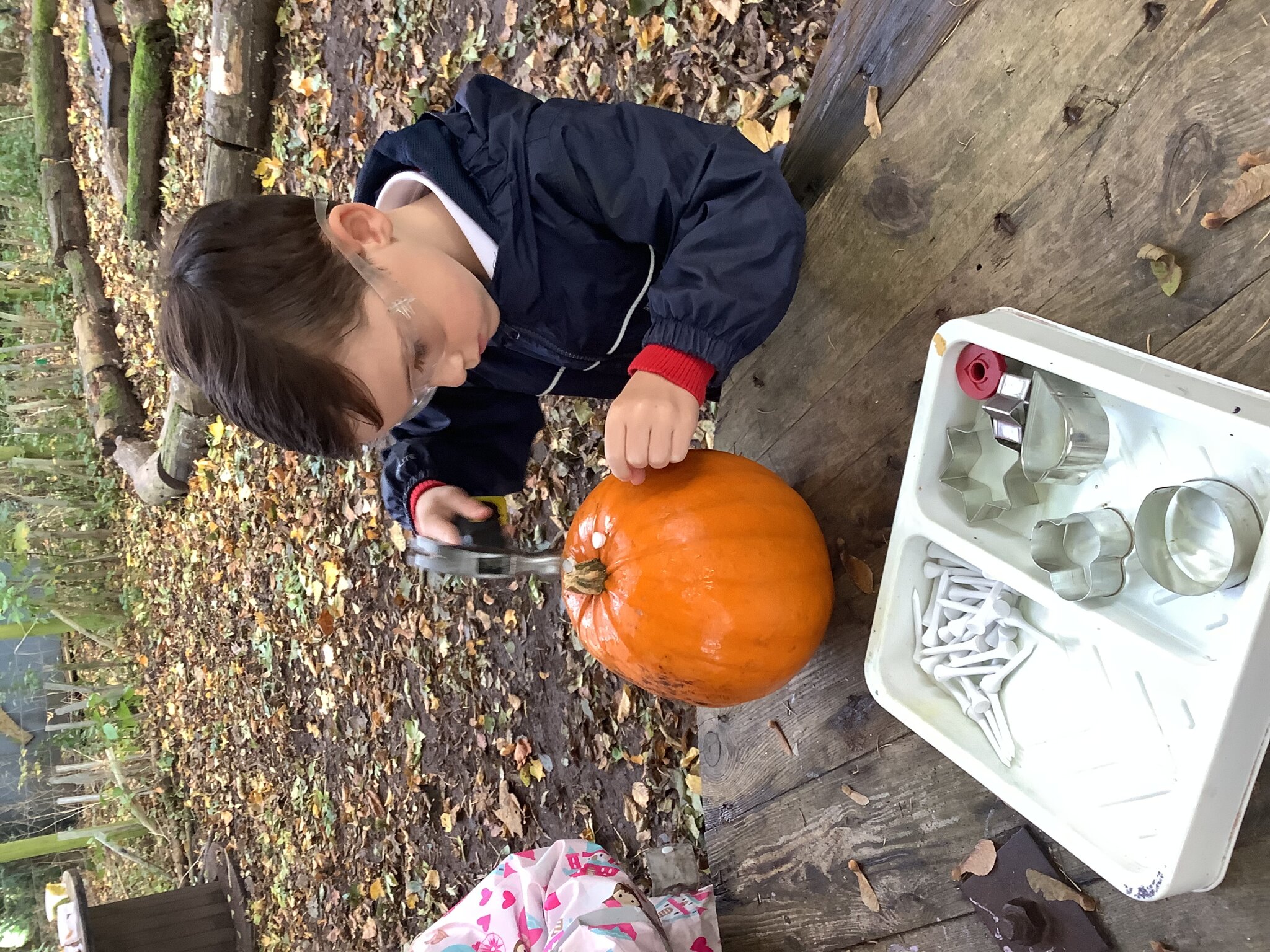 Image of Pumpkin hammering! 