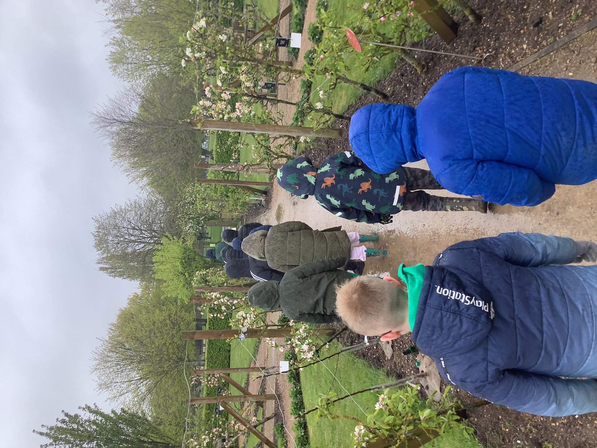 Image of Earth Day at the National Memorial Arboretum