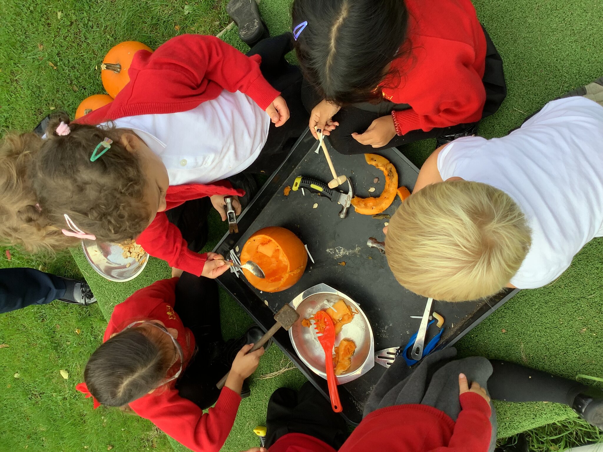 Image of Pumpkin fun! 