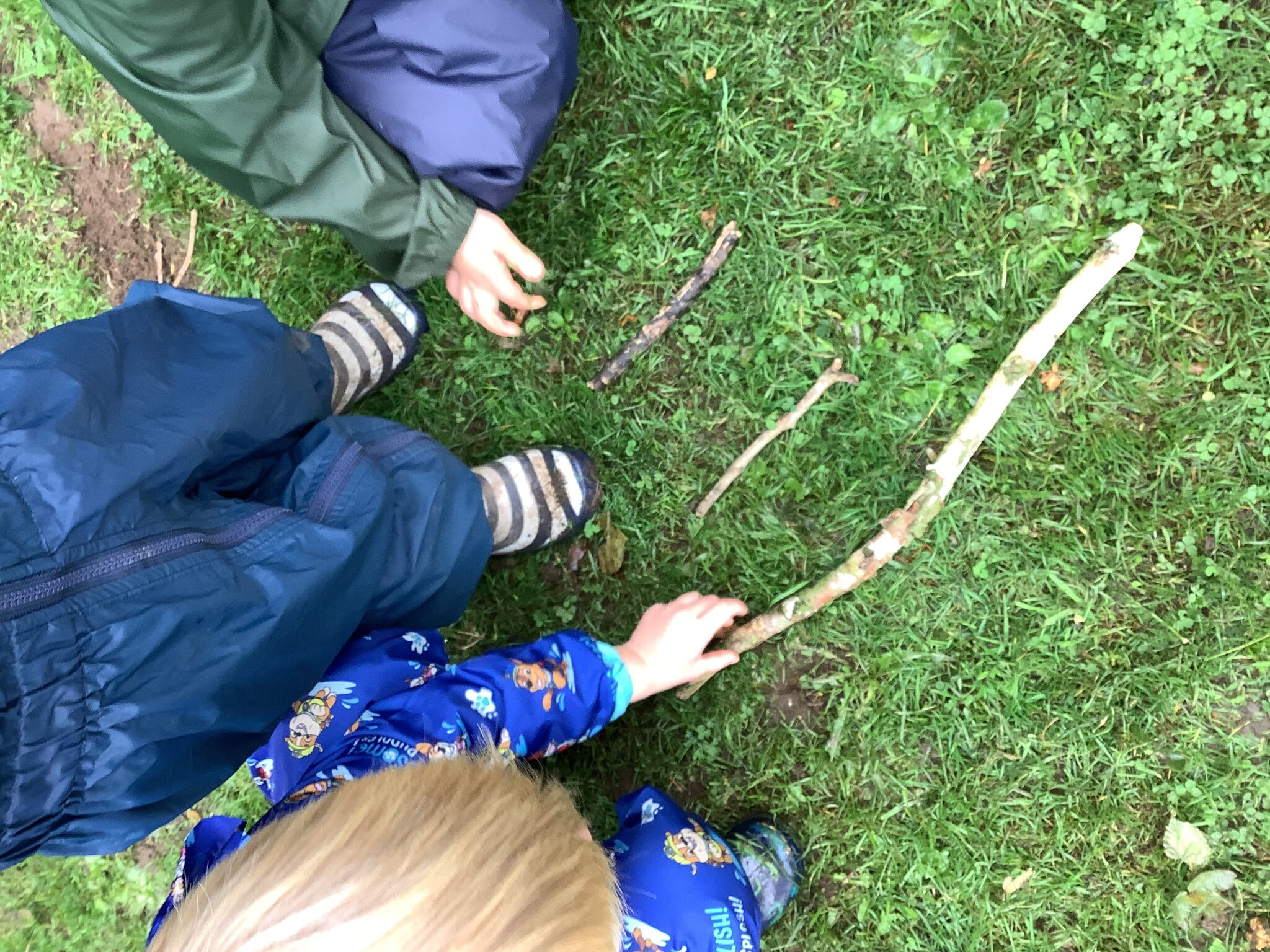 Image of Finding 1,2,3! 
