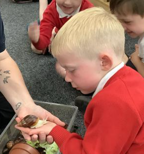 Image of A super animal visit from Rodbaston!
