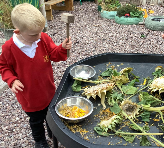 Image of Sunflower fun!