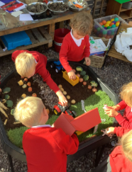Image of Harvest and fruit and vegetables!