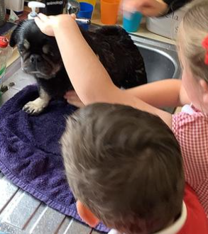 Image of Bathing Ralph!