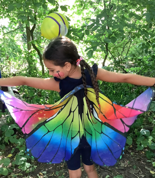 Image of Flying like a...butterfly?!