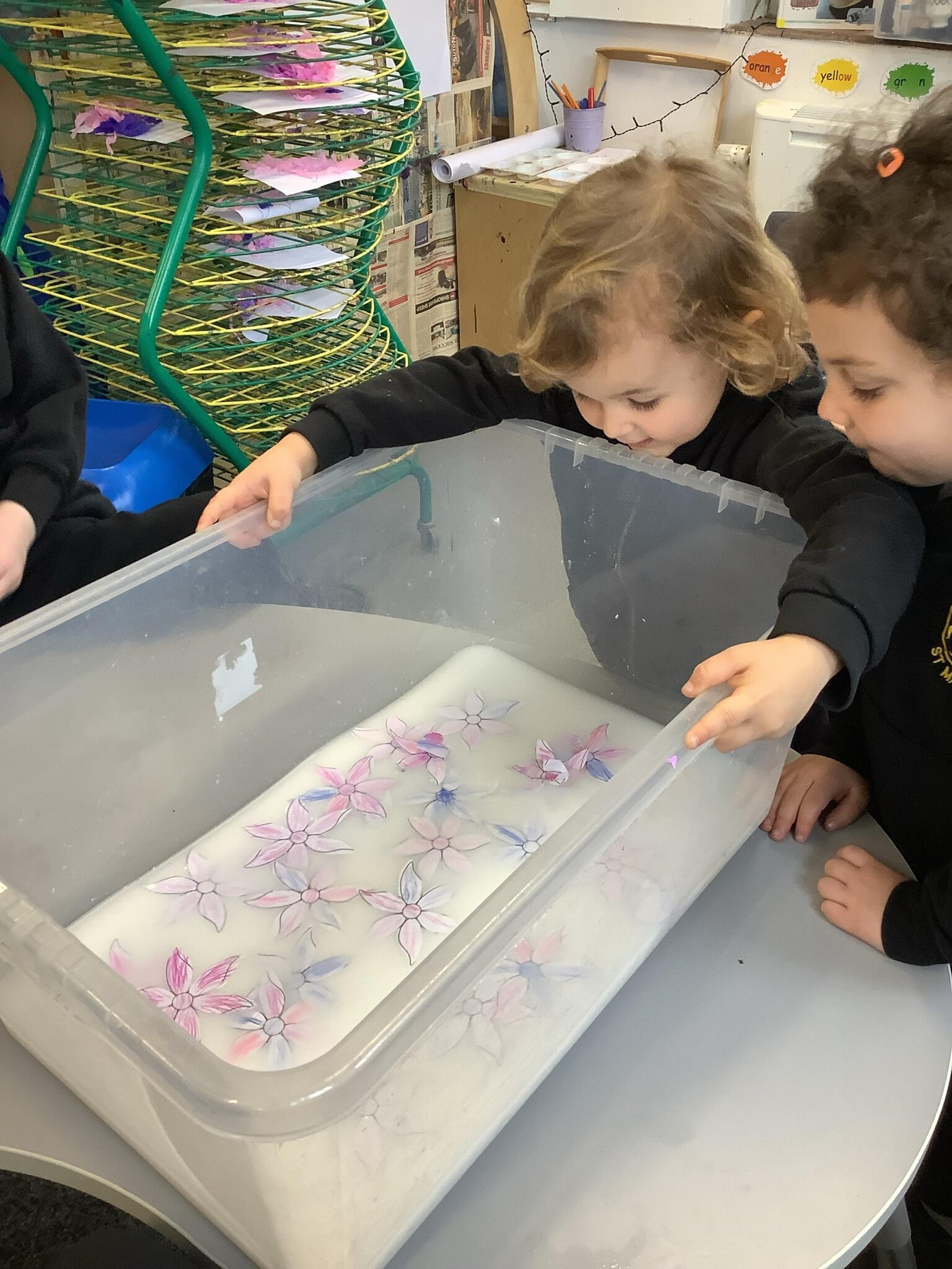 Image of Special Stories