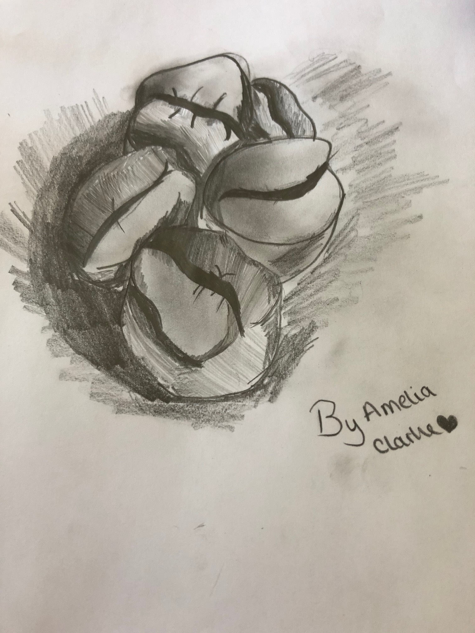 Image of Amelia's Coffee Beans Sketch