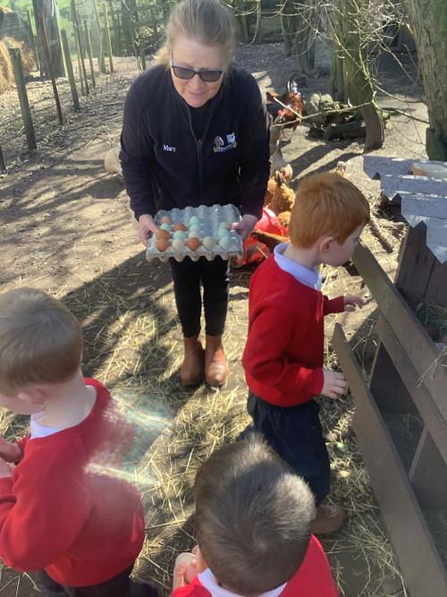 Image of Class 1's Trip to the Farm! 