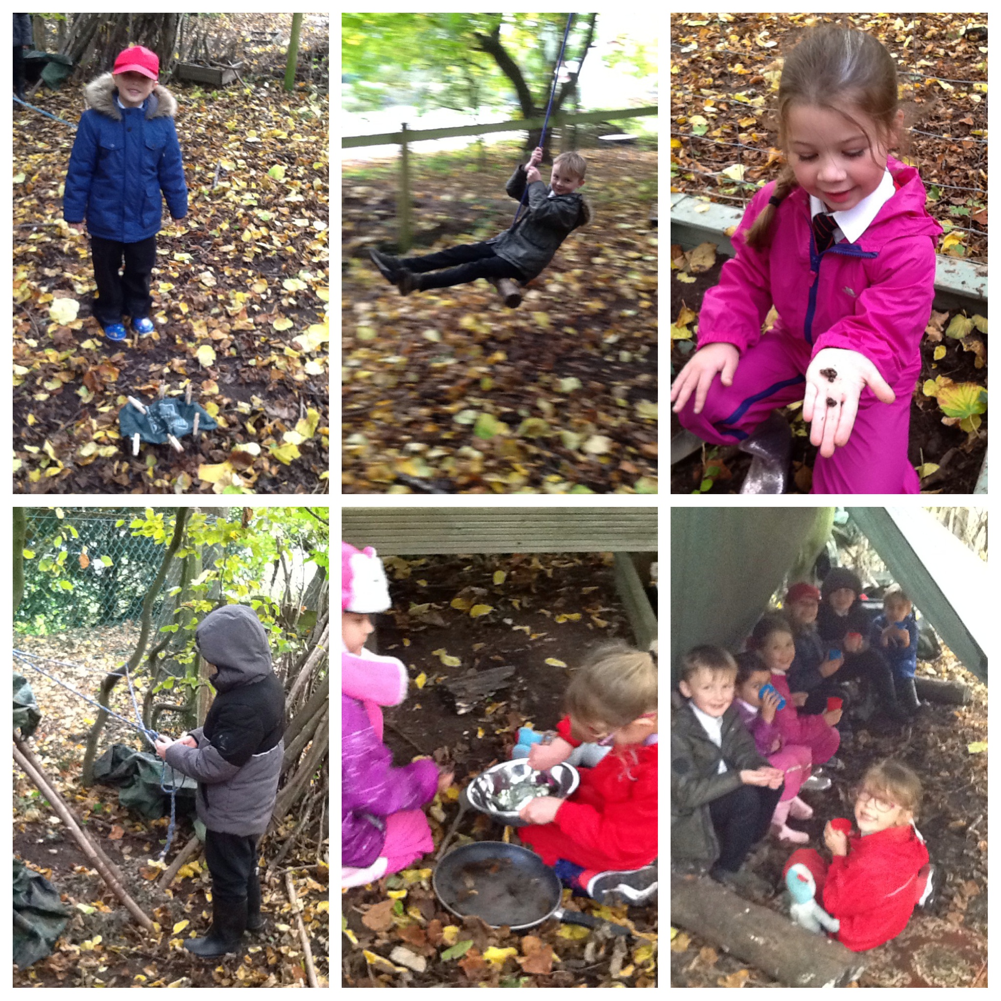 Image of Forest school