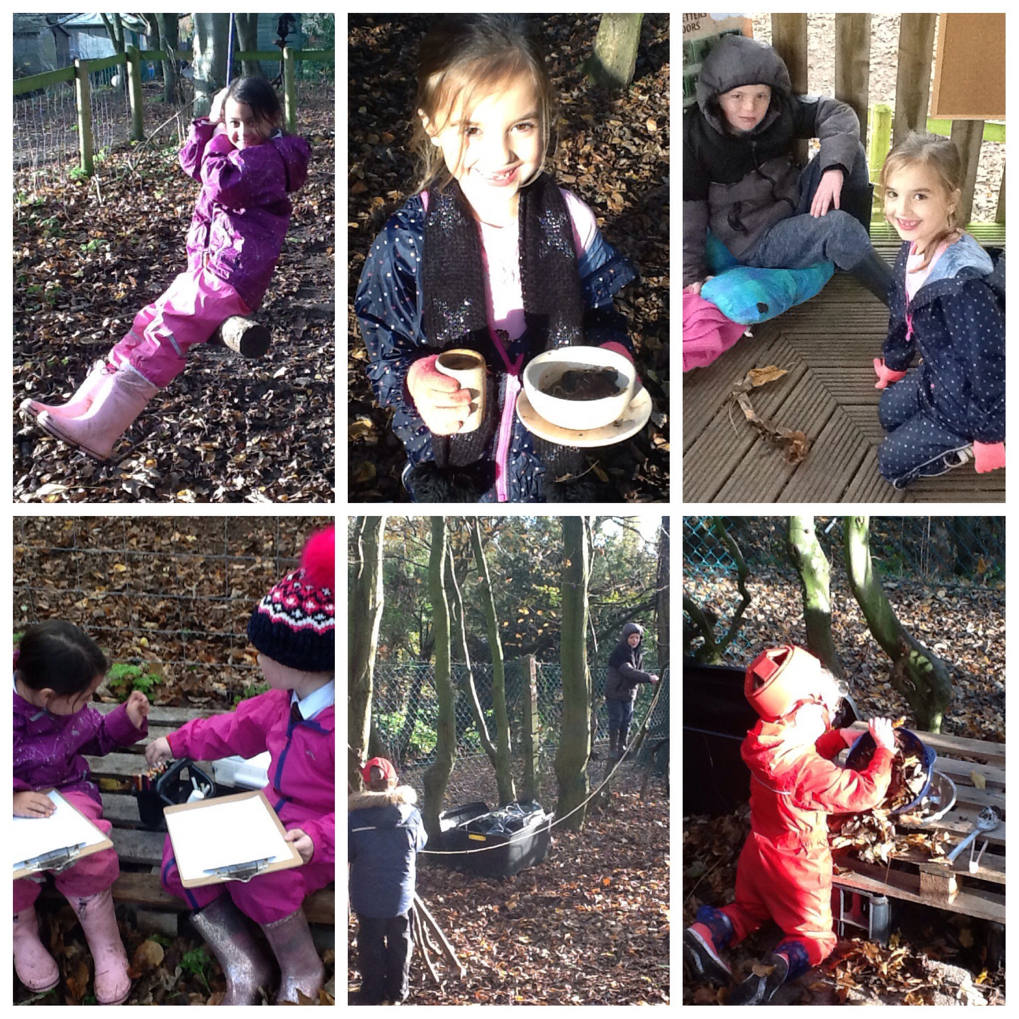 Image of Forest school