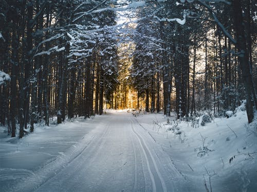 Image of The week commencing Monday 27th January we are learning more about winter!