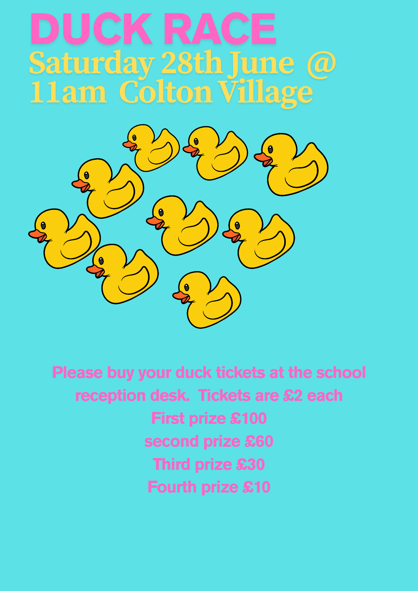 Image of Duck Race
