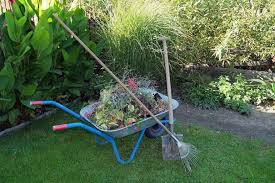 Image of SM Big Spring Garden Tidy-up Day