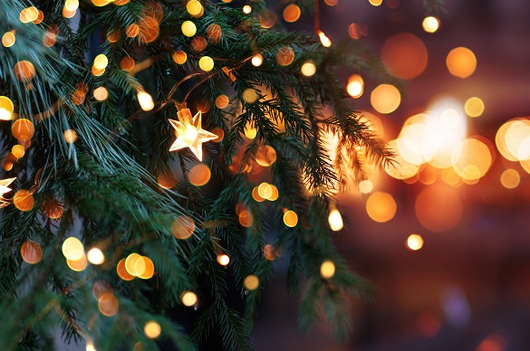 Image of Christmas Community Event