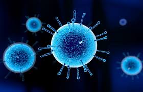 Image of Flu Vaccinations