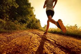 Image of MAT Cross country tournament 