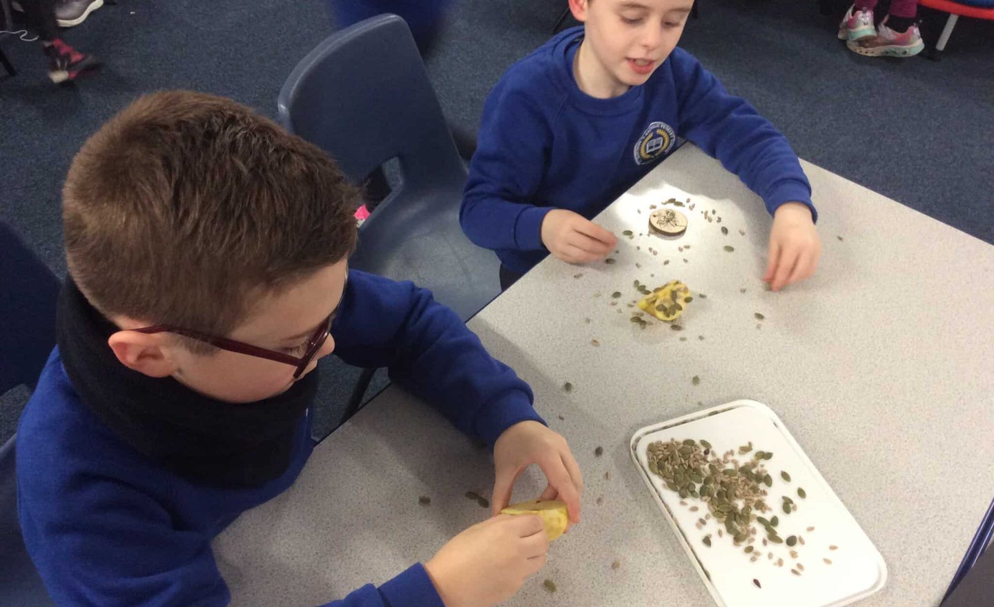 Image of Y2 Forest School