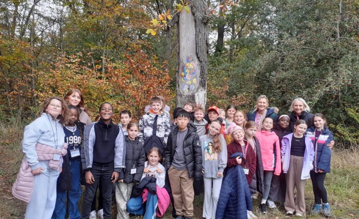YMT Residential photo