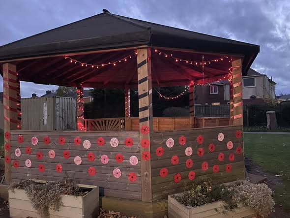 Image of Poppy Appeal