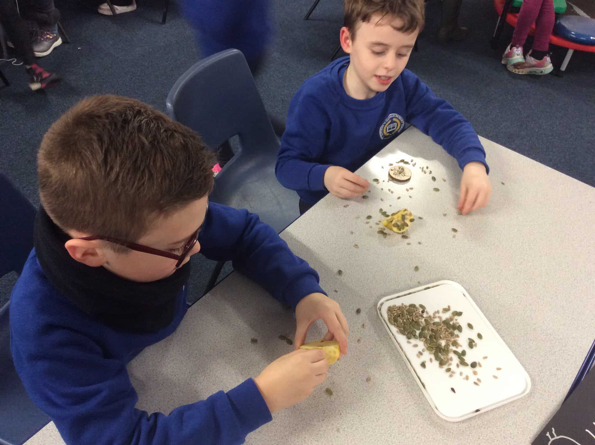 Image of Y2 Forest School