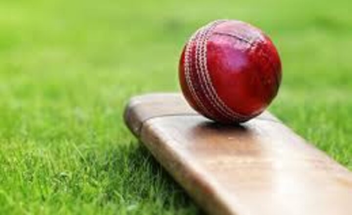 Image of Dynamo Girls' Cricket