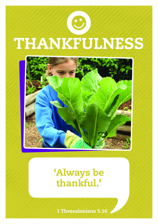 Image of Thankfulness - Counting your blessings
