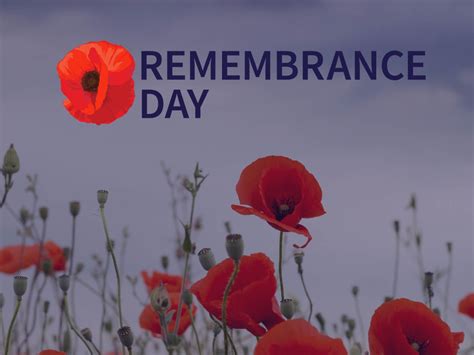 Image of Remembrance Day - 2021