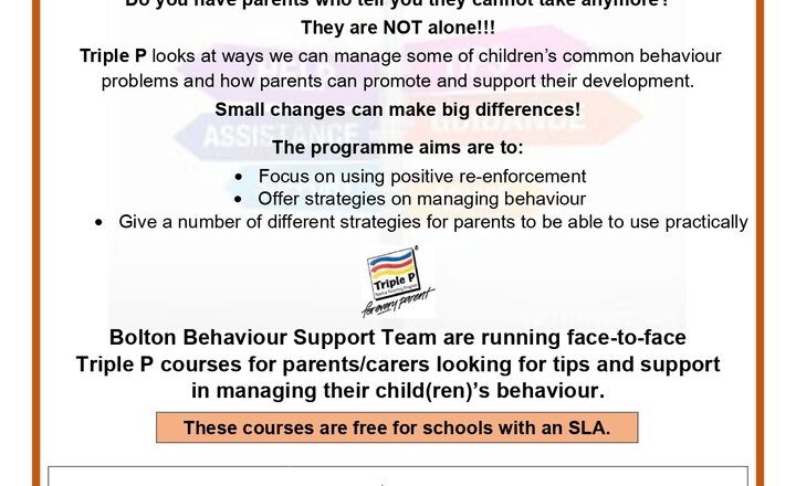 Image of Triple P Parenting Program