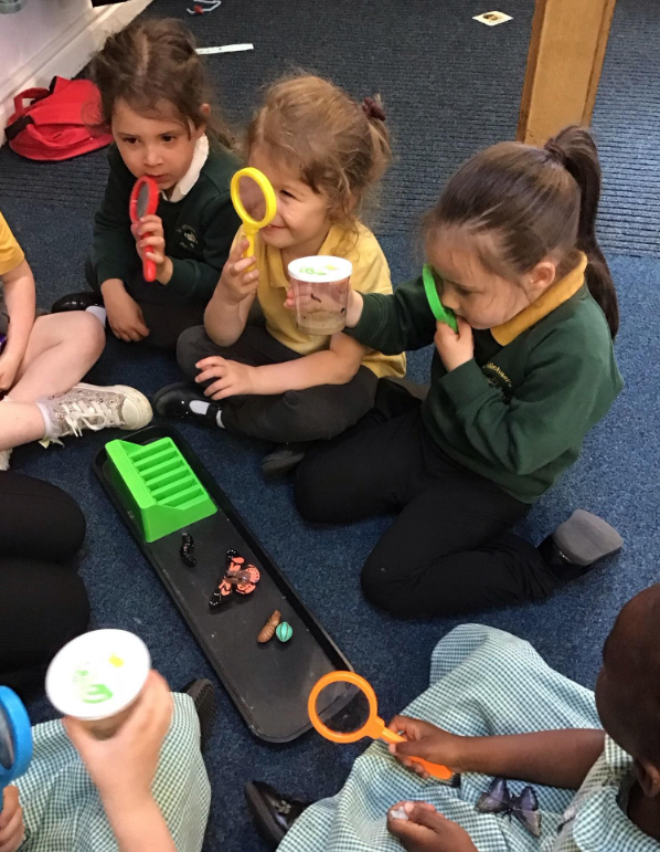 Image of We have some very hungry caterpillars in our nursery! 