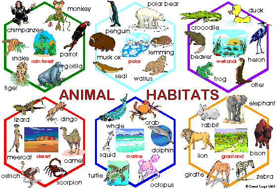 Image of Choose your own habitat!