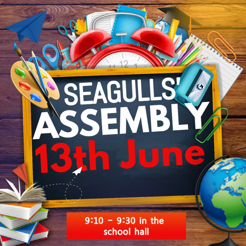 Image of SEAGULLS' ASSEMBLY