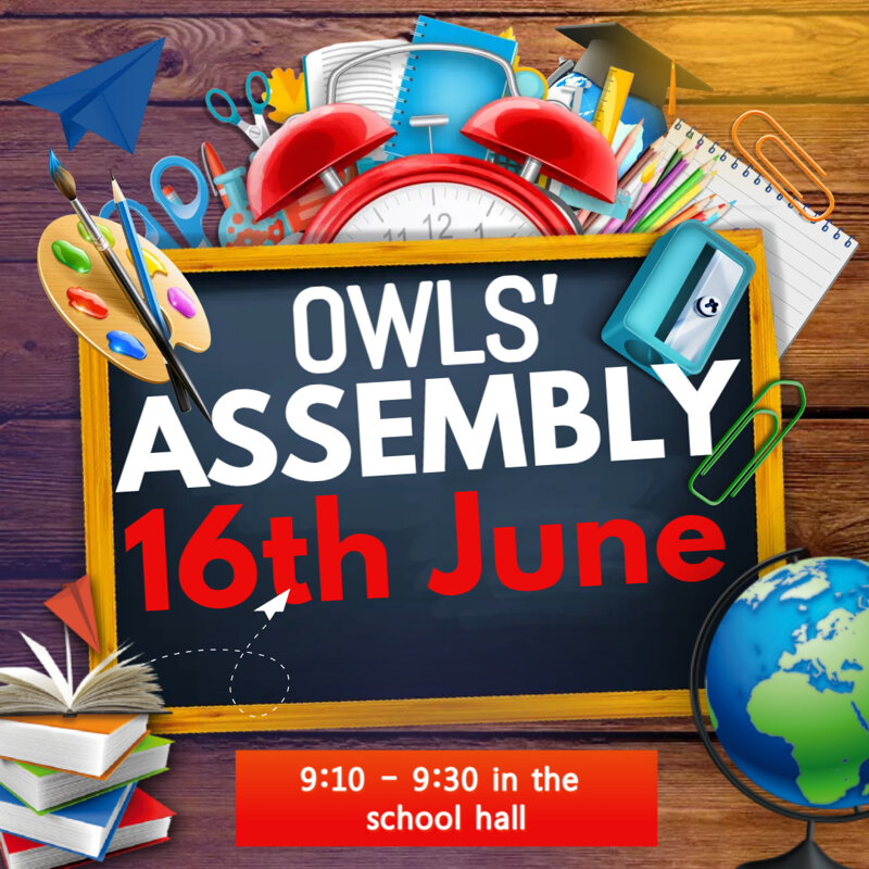 Image of OWLS ASSEMBLY