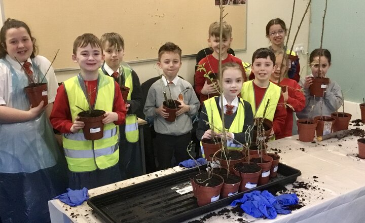 St Paul's student council helping plant willow trees