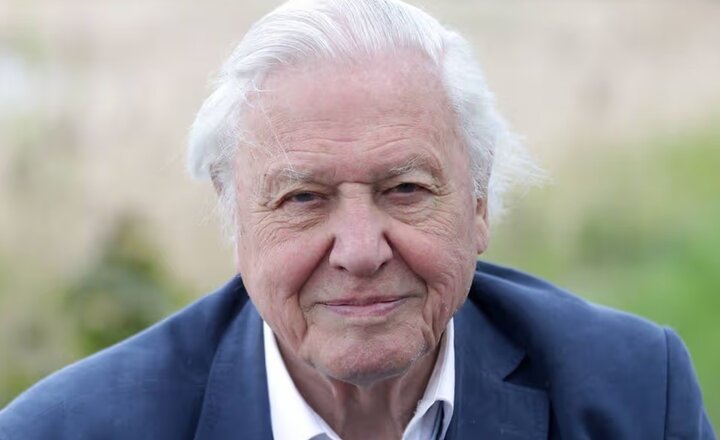 Image of Sir David Attenborough's 100th Birthday