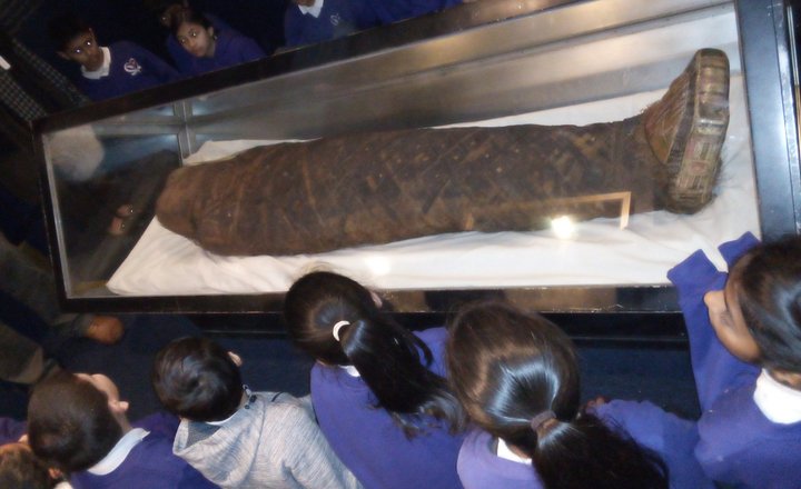 Image of Year 4 Trip to Blackburn Museum