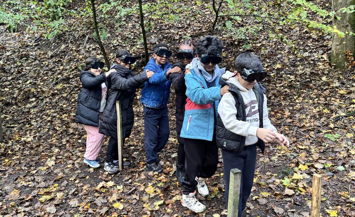 Image of Y4 Outdoor Elements