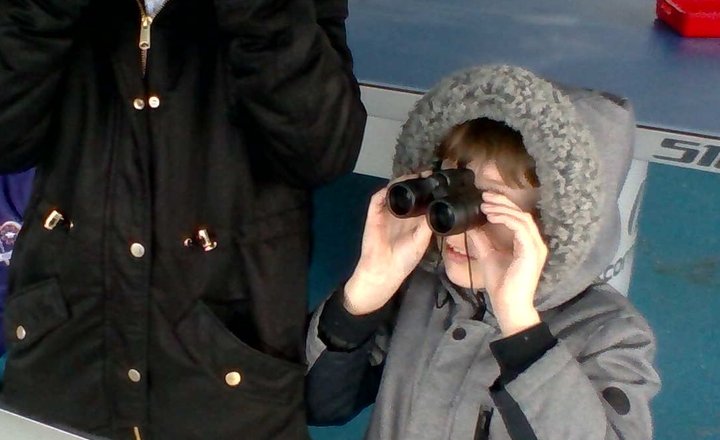 Image of RSPB Big School Birdwatch