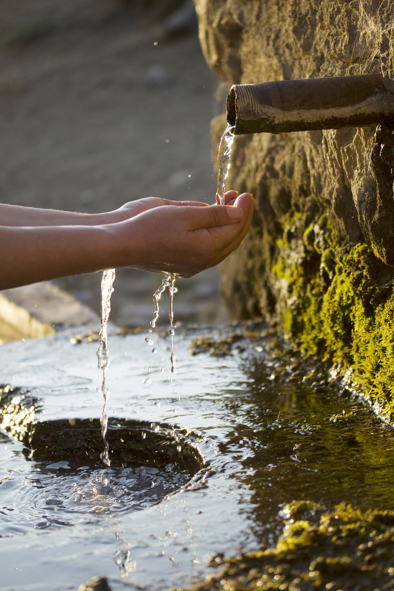 Image of CAFOD Jubilee Assembly – Faith, Kindness & Global Responsibility