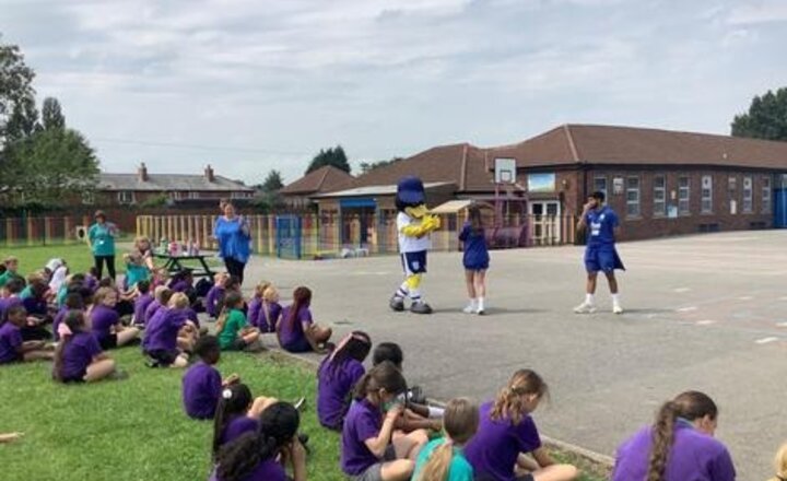 Image of Deepdale Duck