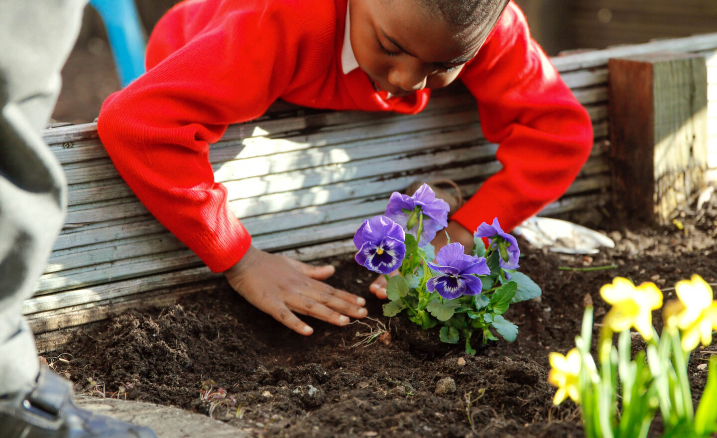 Image of Why is Pastoral Care at School Important?