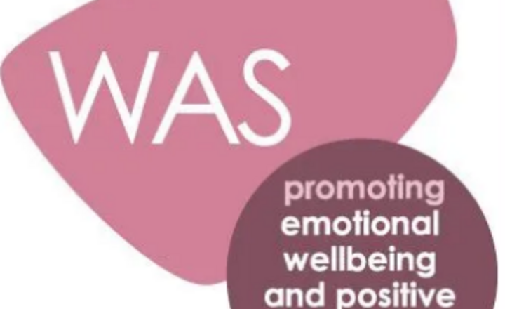 Image of We did it again!