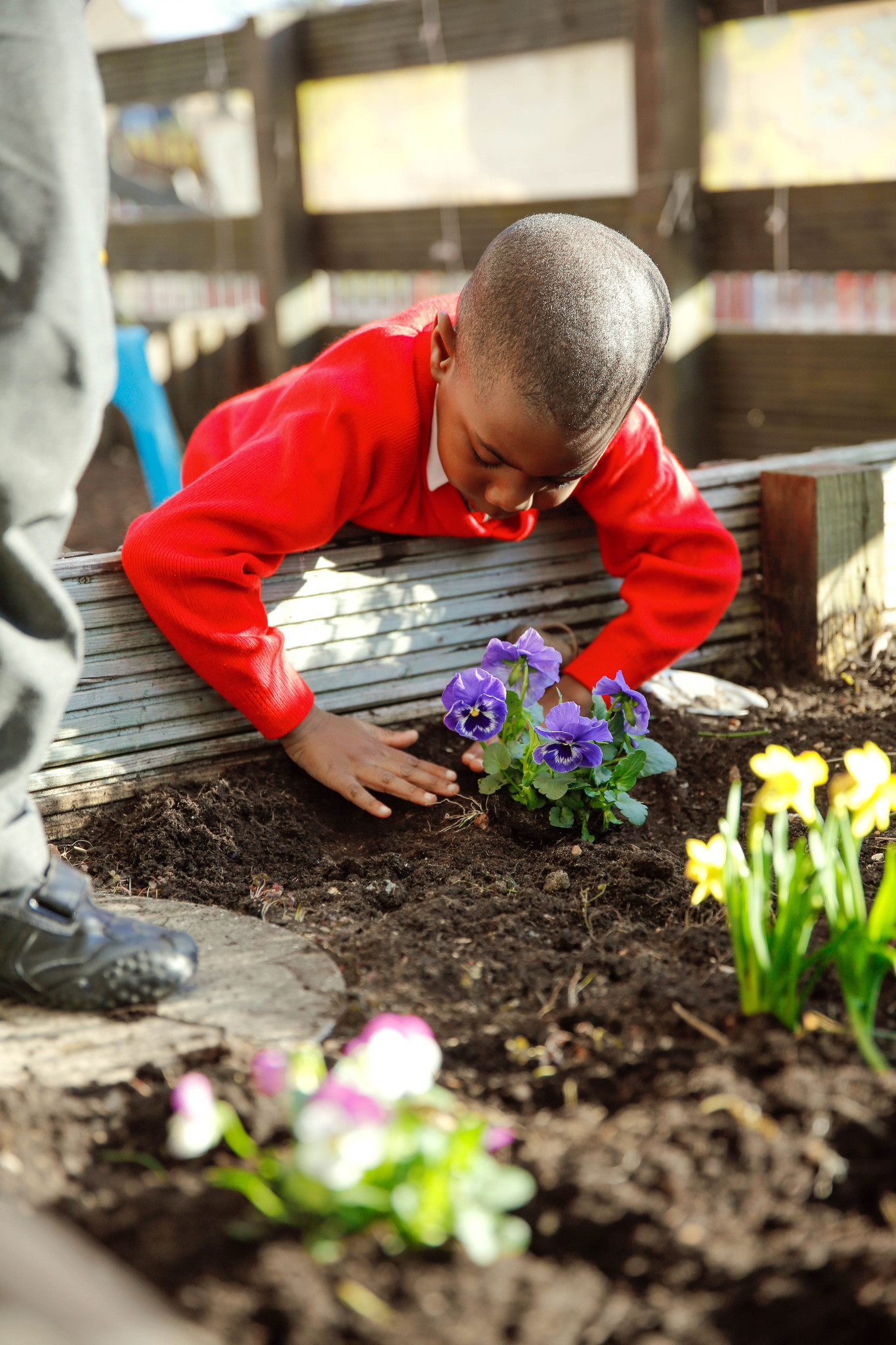 Image of Why is Pastoral Care at School Important?