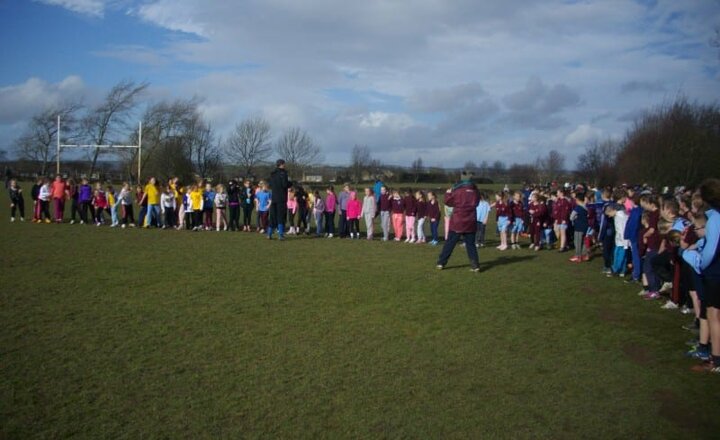 Image of Cross Country 2015