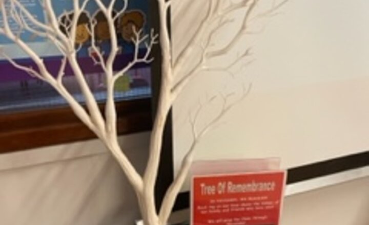 Image of In November We Remember