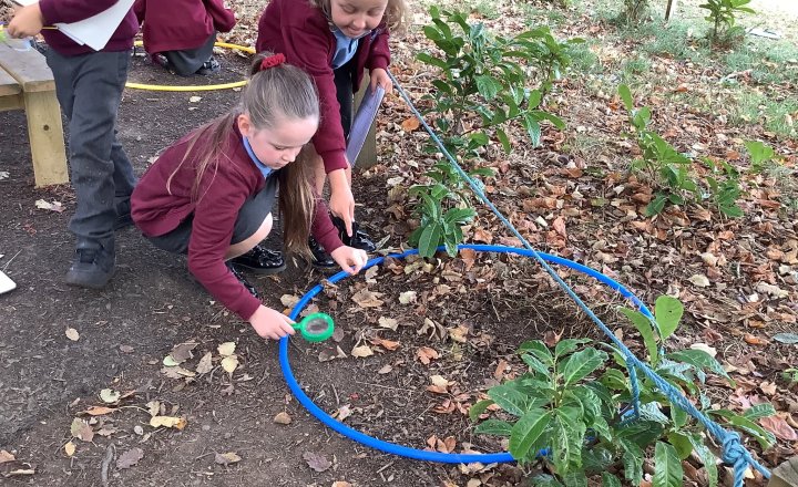 Image of St William’s Catholic Primary School Pupils Explore Microhabitats Through Outdoor Learning